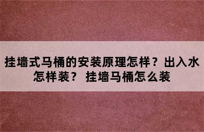 挂墙式马桶的安装原理怎样？出入水怎样装？ 挂墙马桶怎么装